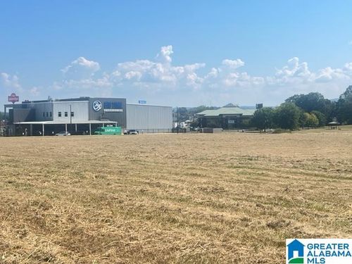 mandampb-0 Elm St, Oxford, AL, 36203 | Card Image