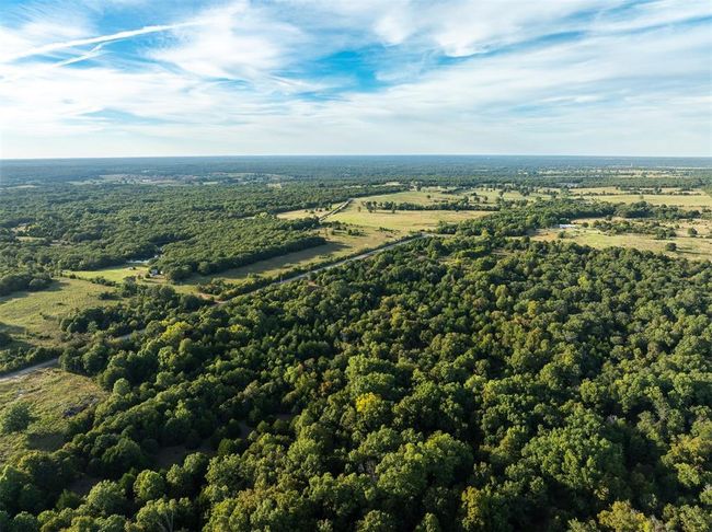 Birds eye view of property featuring a forest view | Image 20