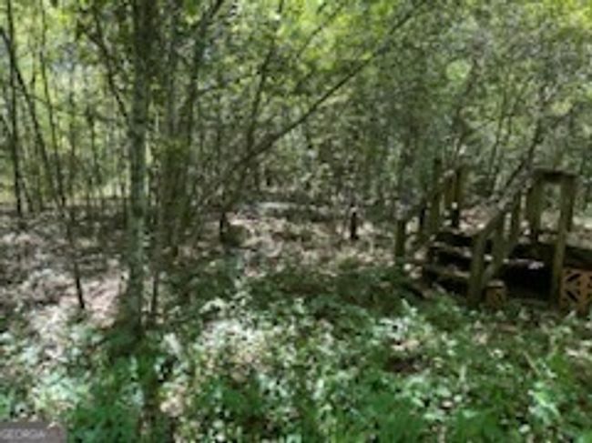 4505 Sylvester Rd, Home with 0 bedrooms, 0 bathrooms and null parking in Sylvester GA | Image 5