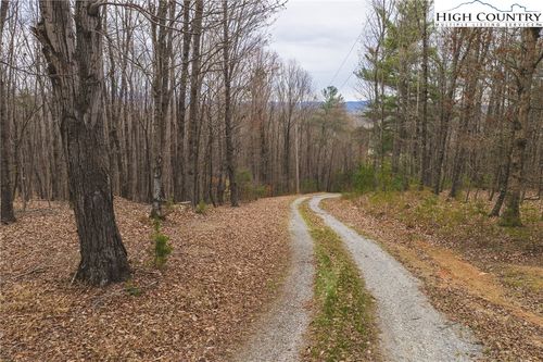 Tract 4 All Healing Springs Road, Taylorsville, NC, 28681 | Card Image