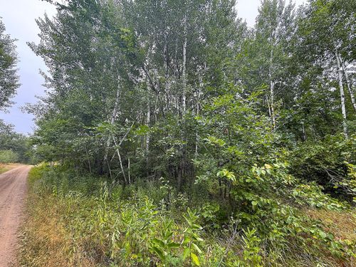 10046 Legionville Road, Brainerd, MN, 56401 | Card Image