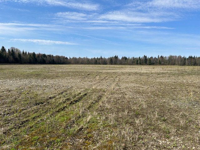 Land in Weedon 3