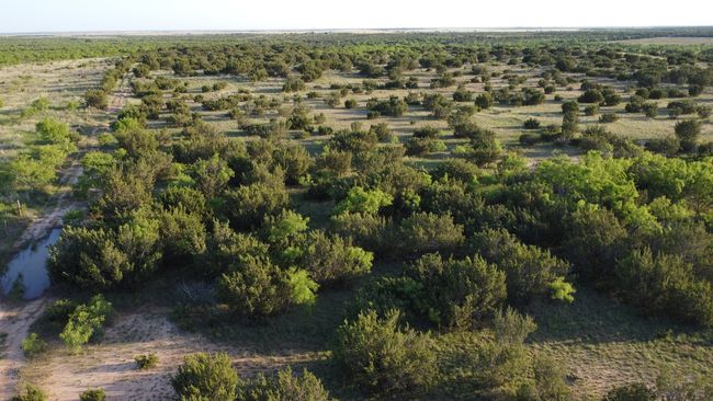 3609 Fm 1086, Home with 0 bedrooms, 0 bathrooms and null parking in Ovalo TX | Image 26