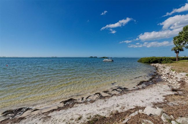 APT-1206 - 2700 Bayshore Blvd, Condo with 2 bedrooms, 1 bathrooms and null parking in DUNEDIN FL | Image 59