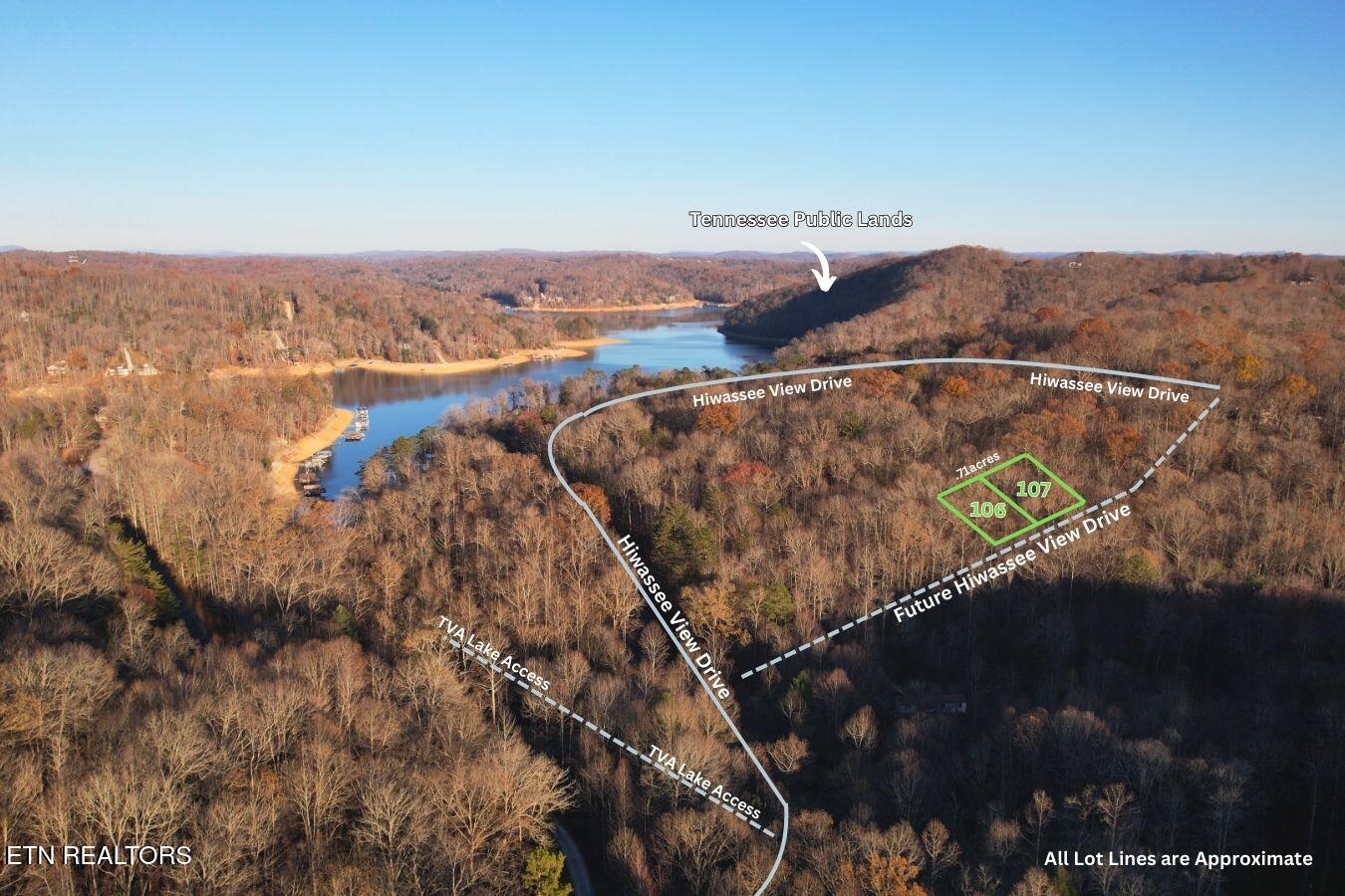 Land in Jacksboro