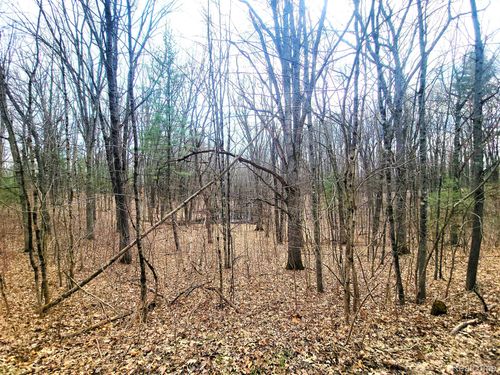 00000 W Estes Dr, Irons, MI, 49644 | Card Image