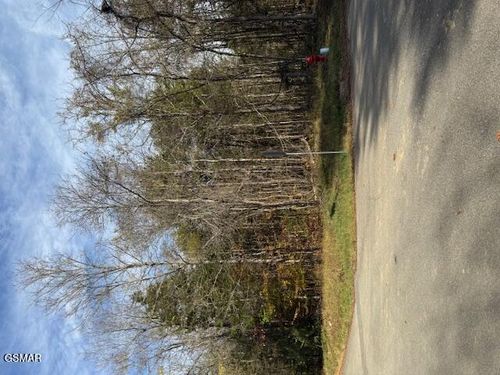 Lot 1023 Cove Lane, Baneberry, TN, 37890 | Card Image