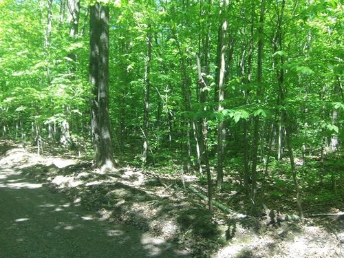 4.85 Acres Joes Road, Conrath, WI, 54731 | Card Image