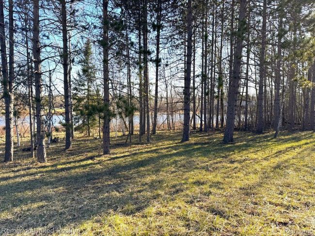 4052 S River Rd, Home with 0 bedrooms, 0 bathrooms and null parking in Cheboygan MI | Image 12