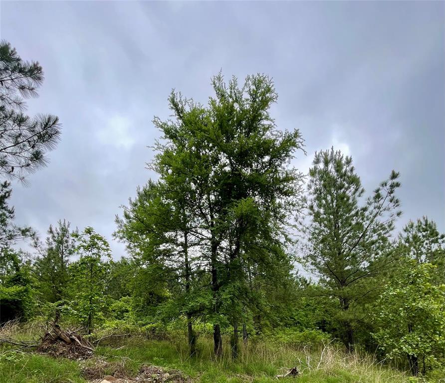 Land in Broken Bow