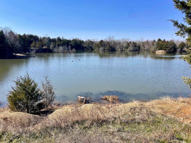 000 Brewer Rd, Home with 0 bedrooms, 0 bathrooms and null parking in Conway AR | Image 42