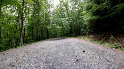 LOT 168 Forest Ridge Trl, FORT VALLEY, VA, 22652 | Card Image