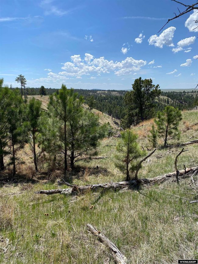 46B Two Pipe Trl, Home with 0 bedrooms, 0 bathrooms and null parking in Sundance WY | Image 9