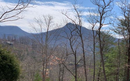 Lot 42 Dan Knob Dr, Hayesville, NC, 28904-6341 | Card Image
