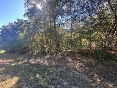 10012 N Athenia Dr, Citrus Springs, FL, 34434-3601 | Card Image