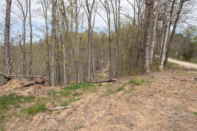 View of nature featuring a view of trees | Image 10