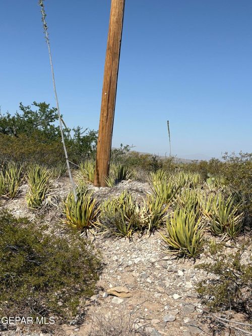 60-18350-60 Carinha Ave, El Paso, TX, 79938-8798 | Card Image