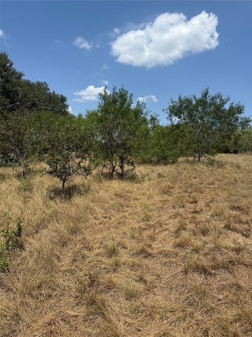 8400 Pettytown Rd, Red Rock, TX, 78662-2716 | Card Image