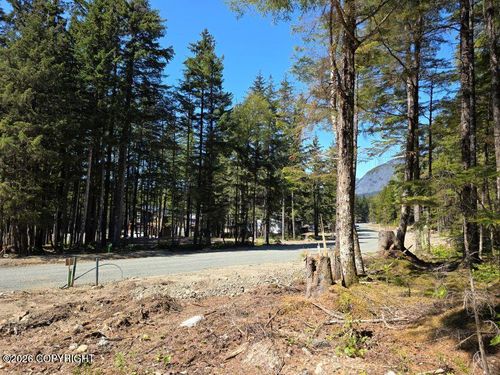 Lot 36 Martin Avenue, Haines, AK, 99827 | Card Image