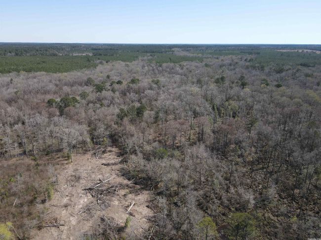 00 Highway 278 Highway, Home with 0 bedrooms, 0 bathrooms and null parking in Rosston AR | Image 23