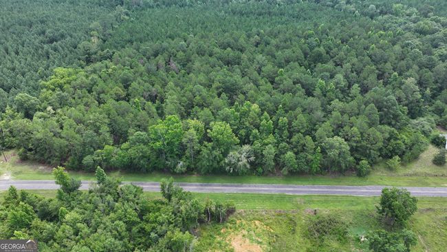 0 Boiling Springs Rd, Home with 0 bedrooms, 0 bathrooms and null parking in Soperton GA | Image 12