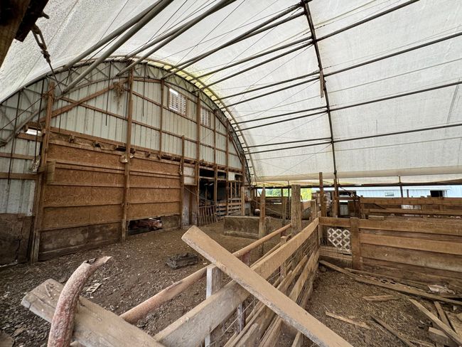 2076 Bald Hill Rd, Home with 5 bedrooms, 1 bathrooms and null parking in Hillsboro KY | Image 19