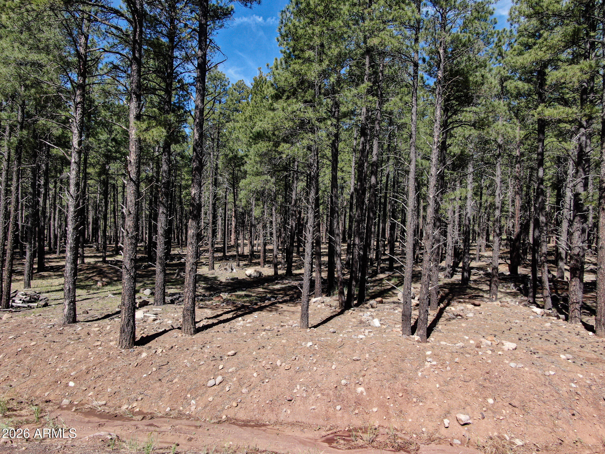 Land in Flagstaff 5