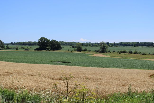 LT15-16 County 1 Road W, Home with 0 bedrooms, 0 bathrooms and null parking in Greater Napanee ON | Image 9