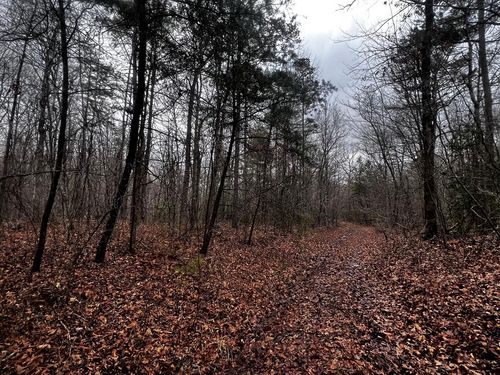 Lot 31 Tiffany Ln, Jamestown, TN, 38556 | Card Image