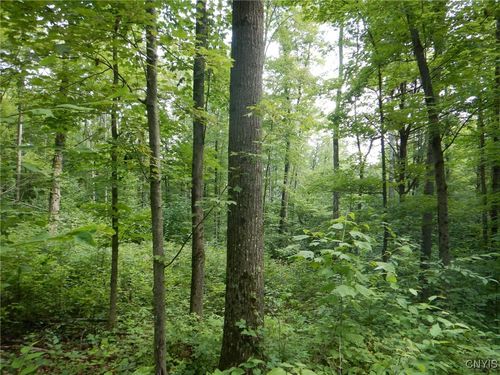 0 Stark Rd, Newfield, NY, 14867 | Card Image