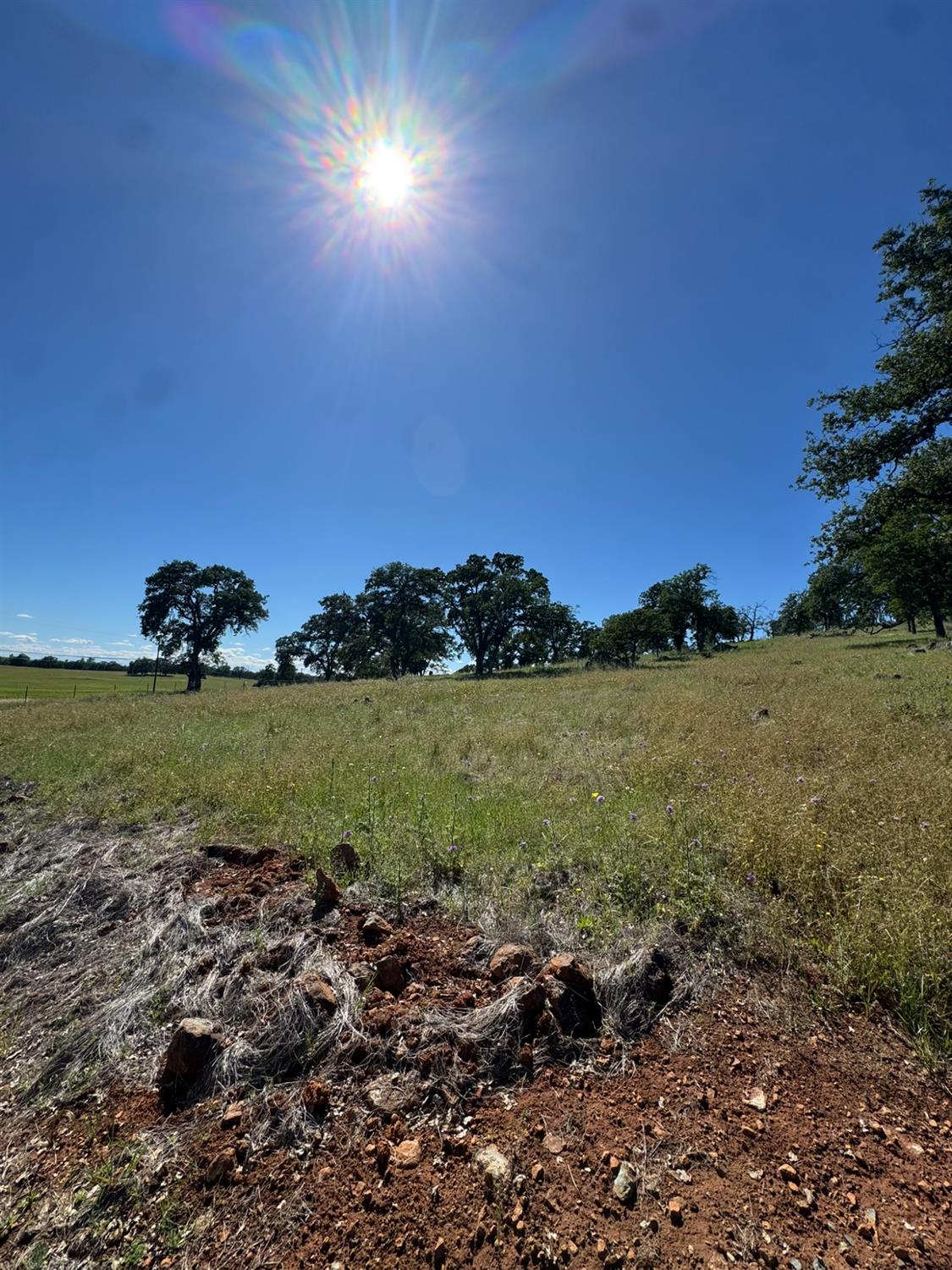 Land in Browns Valley 5
