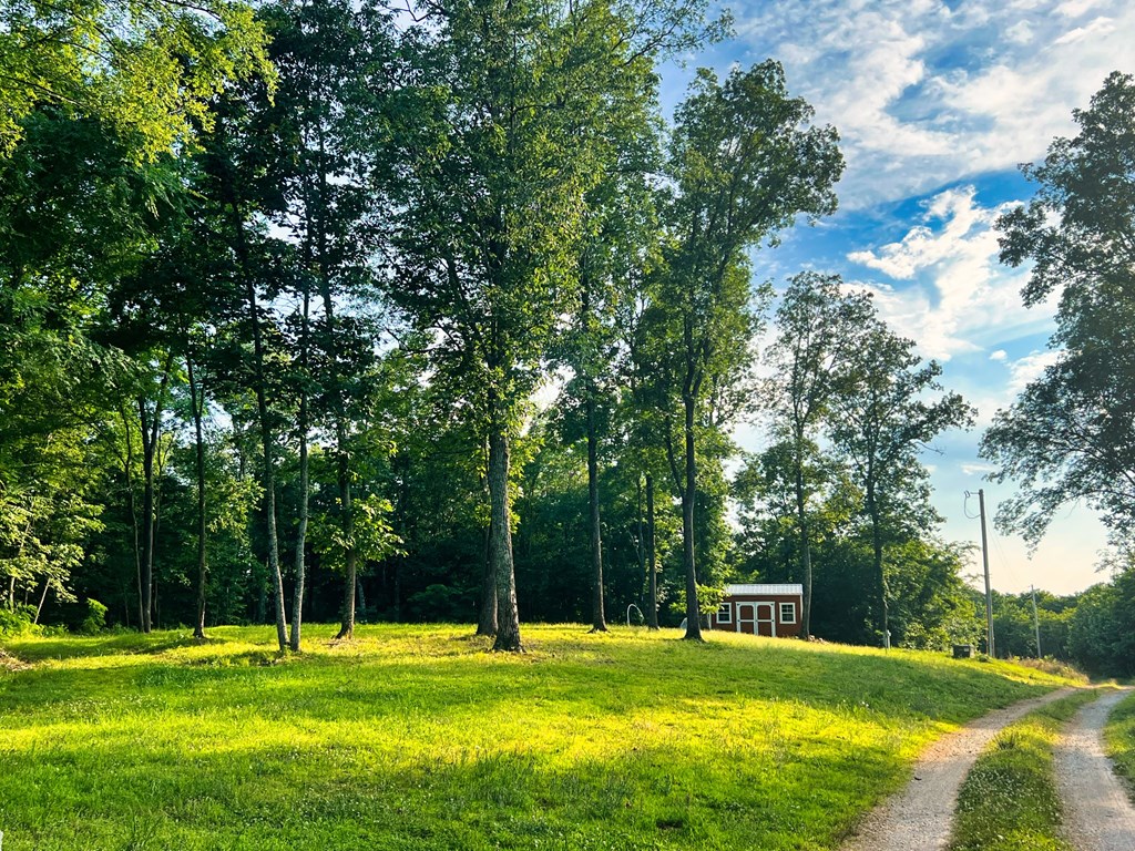 Land in Linden 4