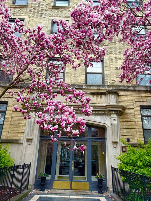 apt-209-1000 Hudson St, Hoboken, NJ, 07030-6816 | Card Image