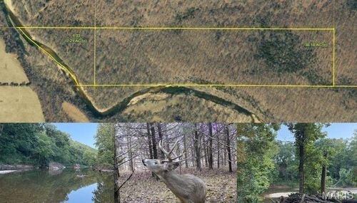 Turley Turley Rd, Plato, MO, 65552-8806 | Card Image