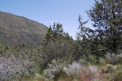 Lot 37 Peregrine Heights, Klamath Falls, OR, 97601 | Card Image