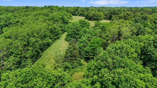 1649 Mudlick Rd, Home with 0 bedrooms, 0 bathrooms and null parking in Cynthiana KY | Image 27