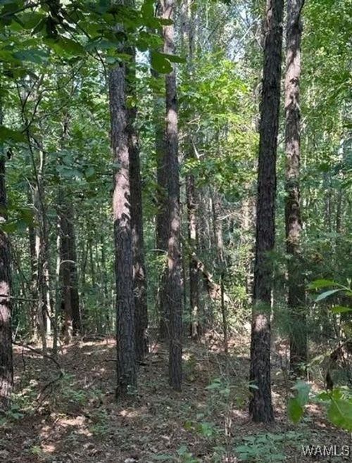 00 Fernkbank Road, MILLPORT, AL, 35576 | Card Image