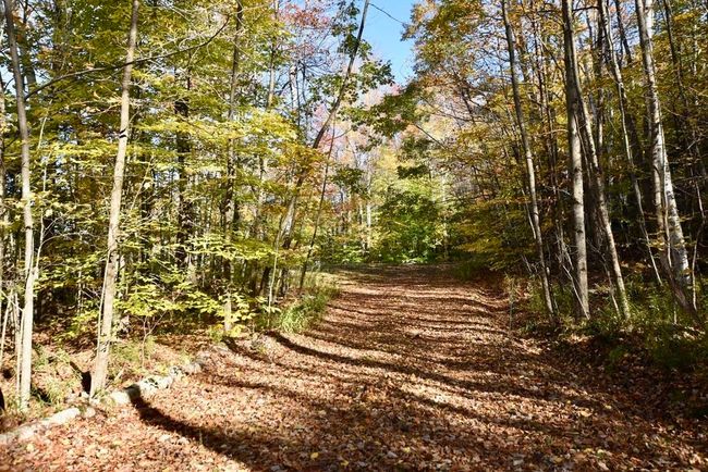 1303 Notch Rd, House other with 4 bedrooms, 3 bathrooms and null parking in Mendon VT | Image 26