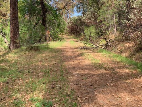 39 AC Miners Trail Rd, Somerset, CA, 95684 | Card Image