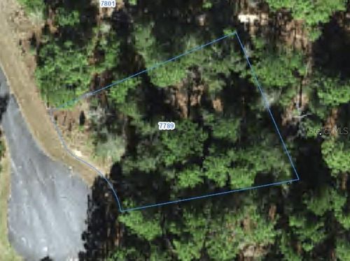 7789 N Wanda Pt, Citrus Springs, FL, 34434-5843 | Card Image