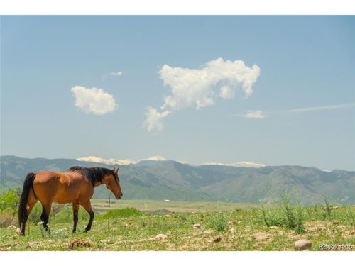 3330 Tweet Pl, Sedalia, CO, 80135-8389 | Card Image
