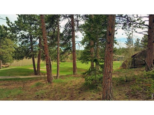 520 Fox Acres Drive W Dr W, Red Feather Lakes, CO, 80545 | Card Image
