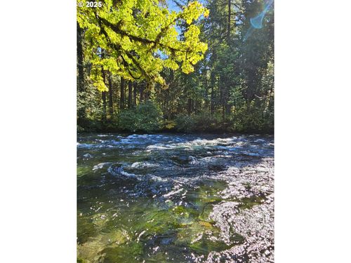 55690 Mckenzie River Dr, Blue River, OR, 97413-9642 | Card Image
