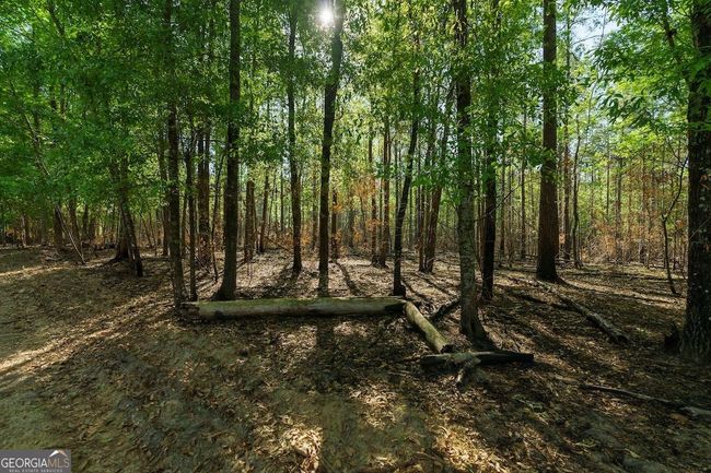 6053 Sun Hill Grange Rd, Home with 0 bedrooms, 0 bathrooms and null parking in Davisboro GA | Image 9