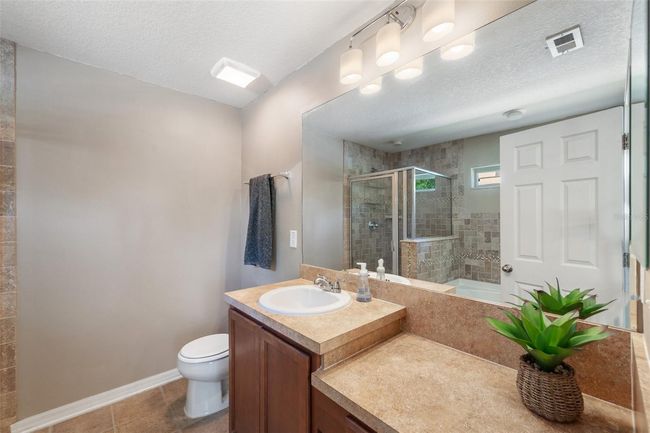 7103 Bridgeview Dr, House other with 3 bedrooms, 2 bathrooms and null parking in WESLEY CHAPEL FL | Image 24