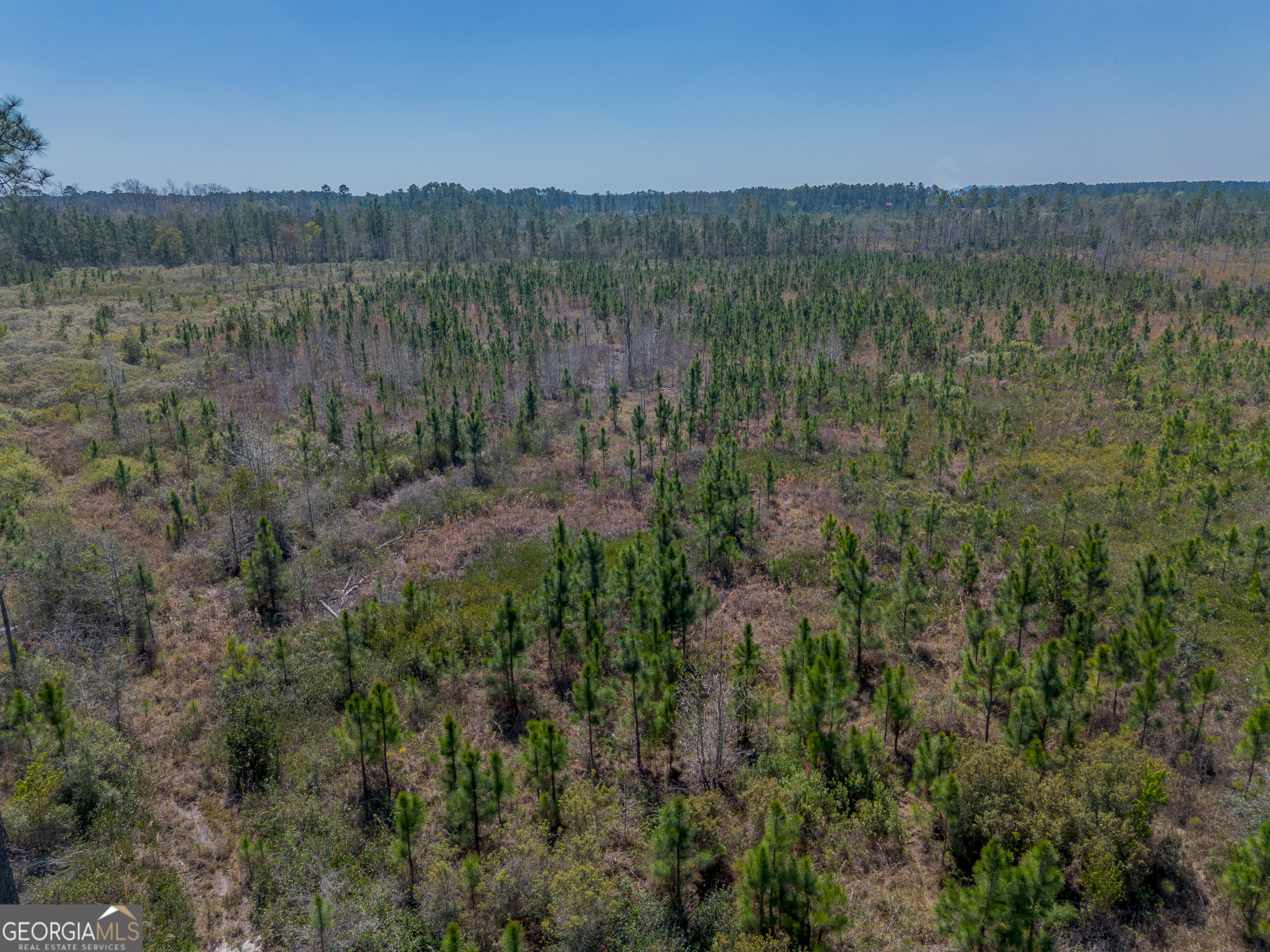Land in Waycross 5