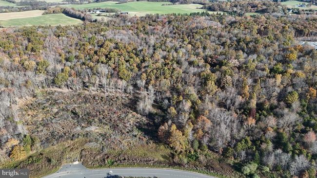 Lot 7 Whiting Rd, Home with 0 bedrooms, 0 bathrooms and null parking in MARSHALL VA | Image 16