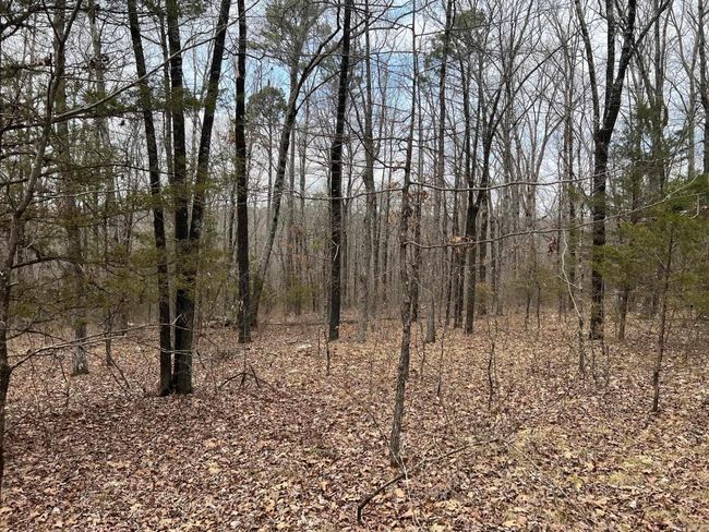 00 Yates Ln, Home with 0 bedrooms, 0 bathrooms and null parking in Tumbling Shoals AR | Image 6