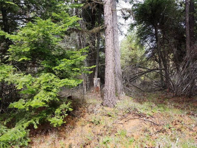 500 Blacktail Heights Rd, Home with 0 bedrooms, 0 bathrooms and null parking in Lakeside MT | Image 6