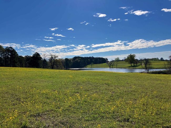 Lot 49 White Oak Creek Ranch, Home with 0 bedrooms, 0 bathrooms and null parking in Big Sandy TX | Image 5